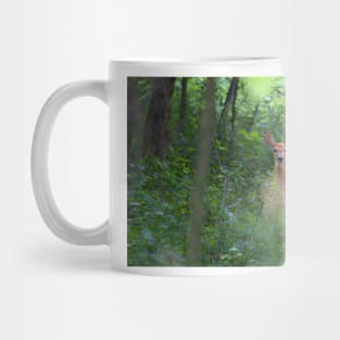 Forest Fawn - White-tailed deer Mug